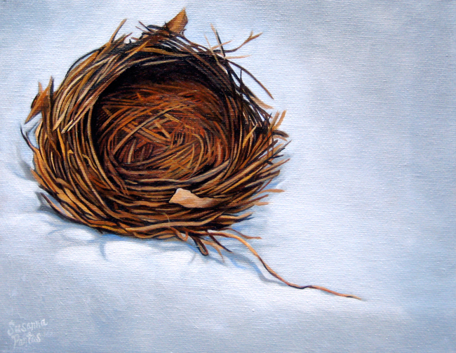 Contemplation: Small Nest, by Susanna Pantas
